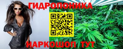 стафф Заводоуковск
