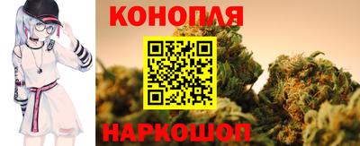 стафф Заводоуковск