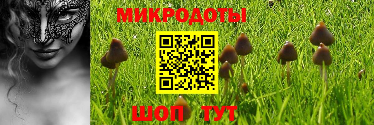 Галлюциногенные грибы Magic Shrooms  Вход с VPN  Кыштым 